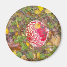 Fly Agaric Fungi Refrigerator Magnets