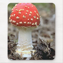 Fly agaric mushroom mousepads