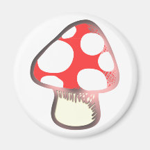 Fly agaric toadstool fly agaric magnet