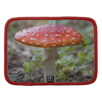 Fly Agaric Toadstool Organizer