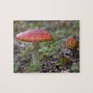 Fly Agaric Toadstool Puzzles