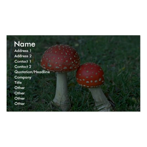 Fly agarics (Amanita muscaria) Business Card (front side)