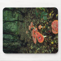 Fly agarics mouse pad