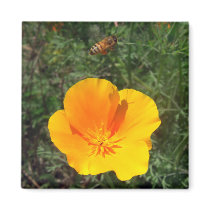 Fly Away Bee Magnets