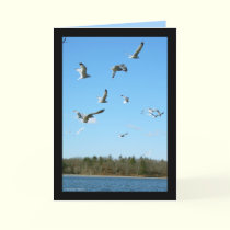 Fly Away cards by MoiraAshleigh Fly Away cards