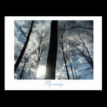 Fly away postcards