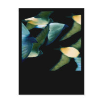 FLY AWAY postcards
