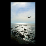 Fly Away posters
