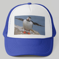 Fly Away Puffin Hat