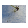 Fly Baby Post Cards