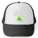 Fly Ball Poem hats