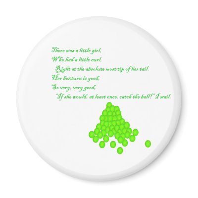 Fly Ball Poem Fridge Magnet by WeaselPuppy