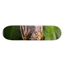 Fly Bugs Insects Skate Board