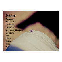 Fly Business Card