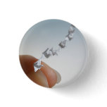 Fly Pin