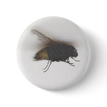 fly buttons