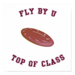Fly By U Frisbee Poster