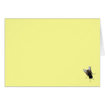 fly cards