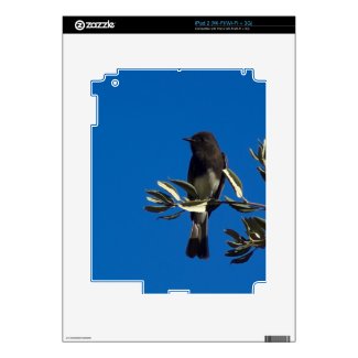 Fly Catcher Ipad 2 Decal