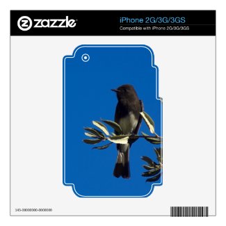 Fly Catcher Iphone 2g Skin