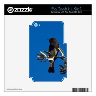 Fly Catcher Ipod Touch 4g Skins