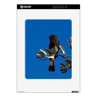 Fly Catcher Skins For Ipad