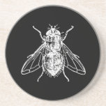 Fly Coasters