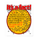 Fly facts poster posters by Duncan_Reed Fly facts poster posters