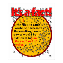 Fly facts poster posters by Duncan_Reed Fly facts poster posters