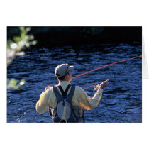 Fly Fishing Colorado cards by nlarson Fly Fishing Colorado cards