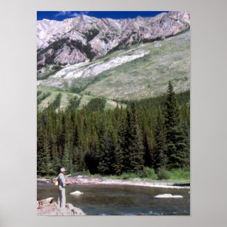 Fly fishing in the Alberta Rocky Mountains. Posters