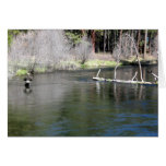 Fly Fishing on the Metolius