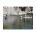 Fly Fishing on the Metolius