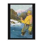 fly fishing Pstcard Post Card