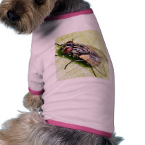 Fly Flies Insect pet clothing