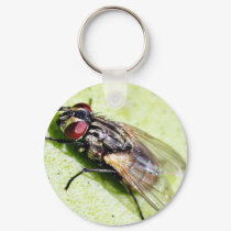 Fly Flies Insect keychains