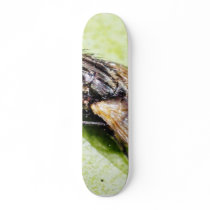 Fly Flies Insect skateboards by lifesphere Fly Flies Insect skateboards