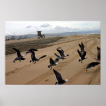 fly fly 001 print