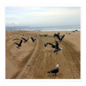 fly fly 002 posters