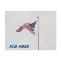 Fly Free USA Flag - postcard by Horseshoes3 Fly Free USA Flag - postcard