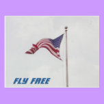Fly Free USA Flag - postcard postcards