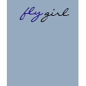 Fly Girl t-shirts