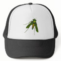 fly hats by abadu44 fly hats