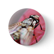 Fly Insect buttons