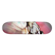 Fly Insect Skate Decks