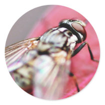 Fly Insect stickers
