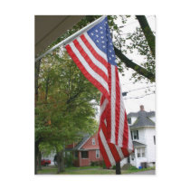 Fly it High! postcards