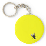 fly key chain