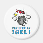 fly like at hedgehogs magnets