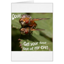 Fly Lurve cards by OnlyFunStuff Fly Lurve cards